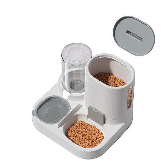 Ergonomic Elevated Dual-Pet Dining Station